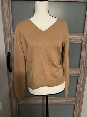 Banana Republic V-Neck Sweater in Camel Brown
